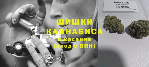 спайс Няндома