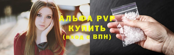соль ск Новозыбков