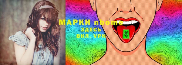 соль ск Новозыбков