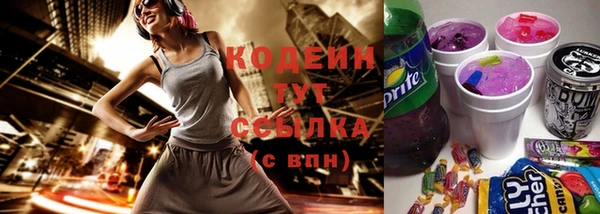соль ск Новозыбков