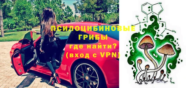соль ск Новозыбков
