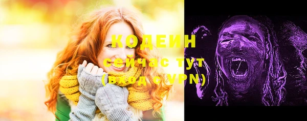 соль ск Новозыбков