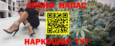 гашик Кандалакша