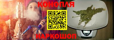 гашик Кандалакша