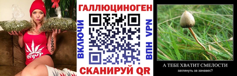 mega зеркало  Партизанск  Галлюциногенные грибы мухоморы 