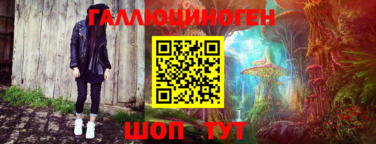 Галлюциногенные грибы Psilocybine cubensis Партизанск